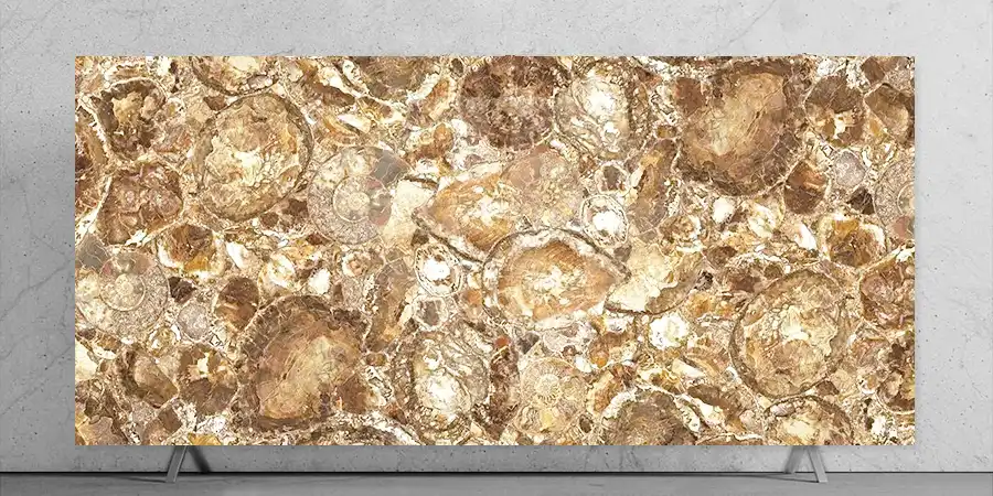Beige Petrified Wood Stone Slab