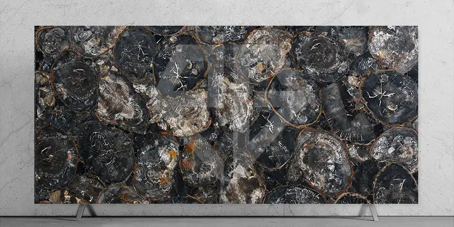 Black Petrified Wood Round