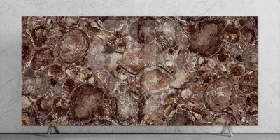 Brown Petrified Wood Stone Slab