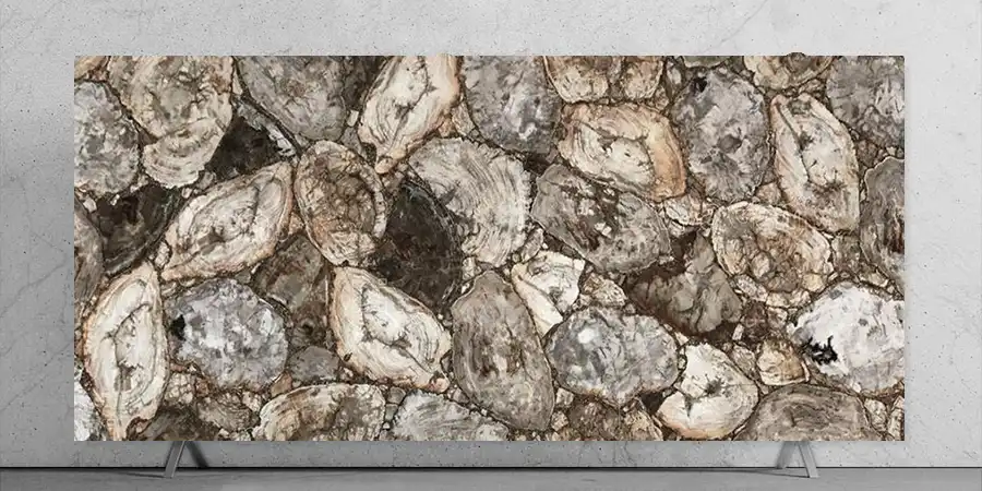 White Petrified Wood Retro