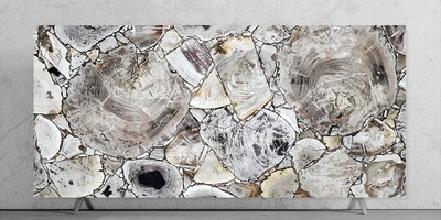White Petrified Wood Stone Slab