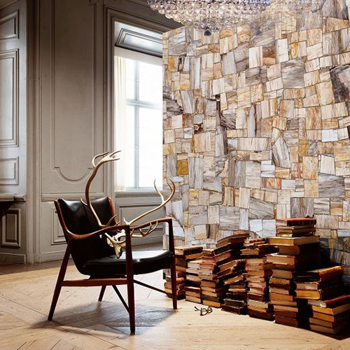 Petrified wood slabs 